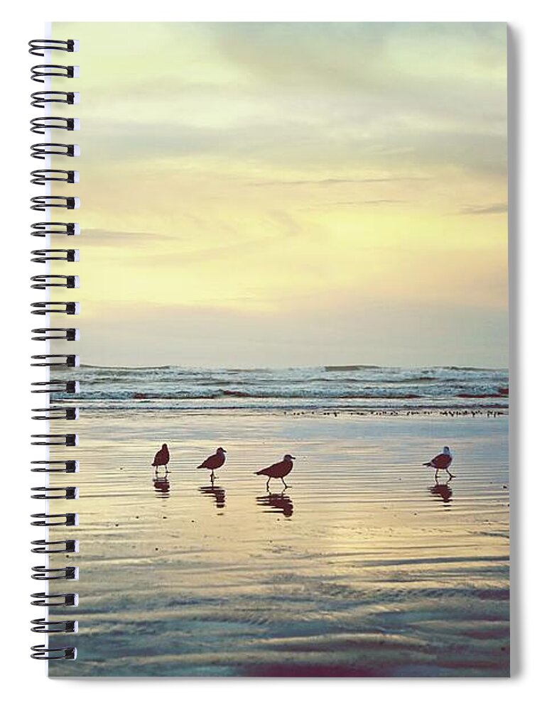 Photography Spiral Notebook featuring the photograph Waiting For Sunset by Sylvia Cook