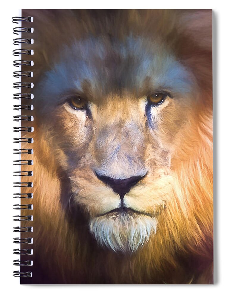 Animal Spiral Notebook featuring the photograph Waiting in the Shadows - version 2 by Tim Stanley