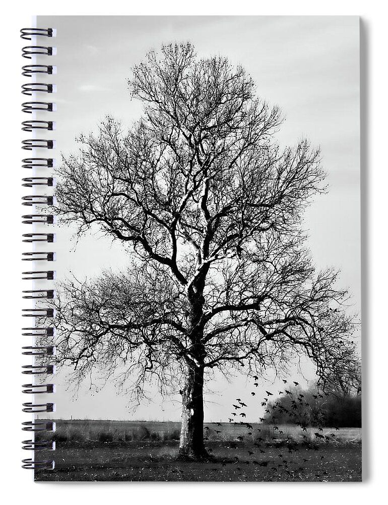 Tree Spiral Notebook featuring the photograph Waiting by Lana Trussell