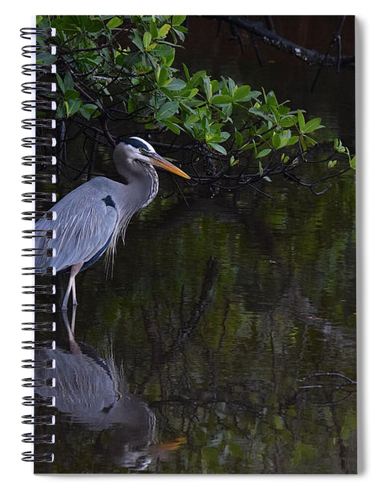 Great Blue Heron Spiral Notebook featuring the photograph Waiting Patiently by Jim Bennight