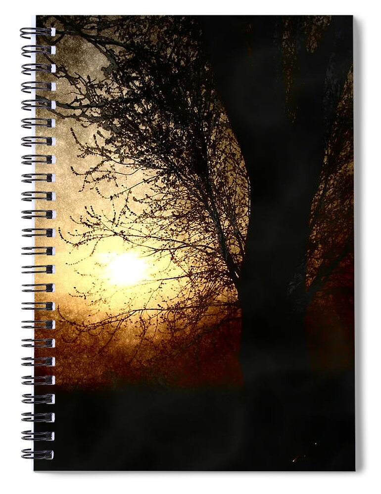 Landscape Spiral Notebook featuring the photograph Walk Quietly Into the Night with Me. by Julie Lueders 