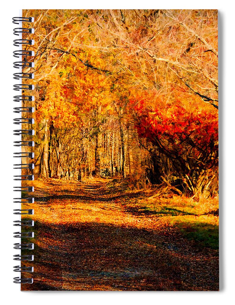 #jefffolger Spiral Notebook featuring the photograph Walking down the autumn path by Jeff Folger