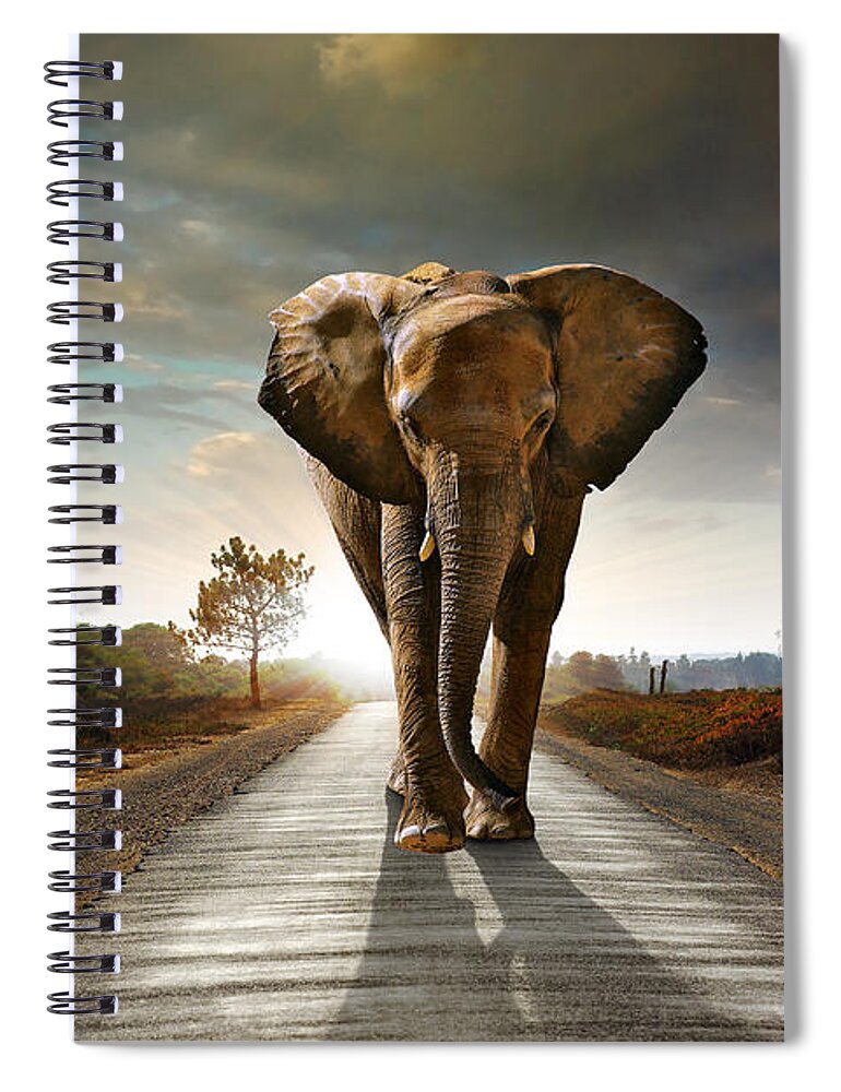 African Spiral Notebook featuring the photograph Walking Elephant by Carlos Caetano