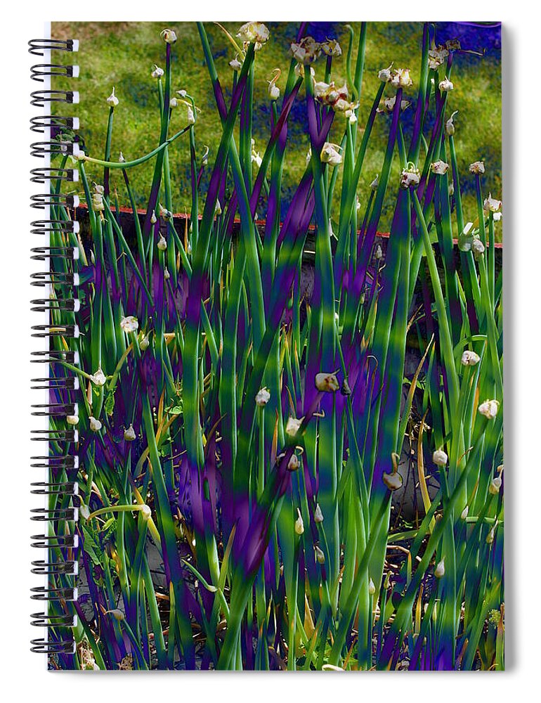 Walking Onions Spiral Notebook featuring the photograph Walking onions by Jean Evans