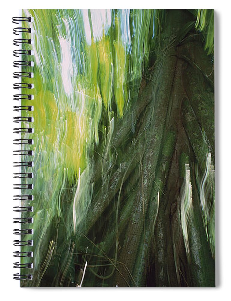 00760001 Spiral Notebook featuring the photograph Walking Palm Panama by Christian Zielger