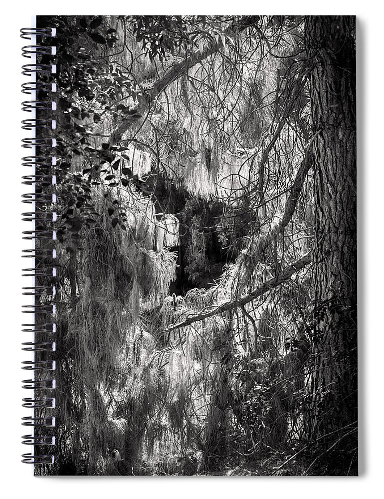 Art Spiral Notebook featuring the photograph Warp of Life bw by Denise Dube