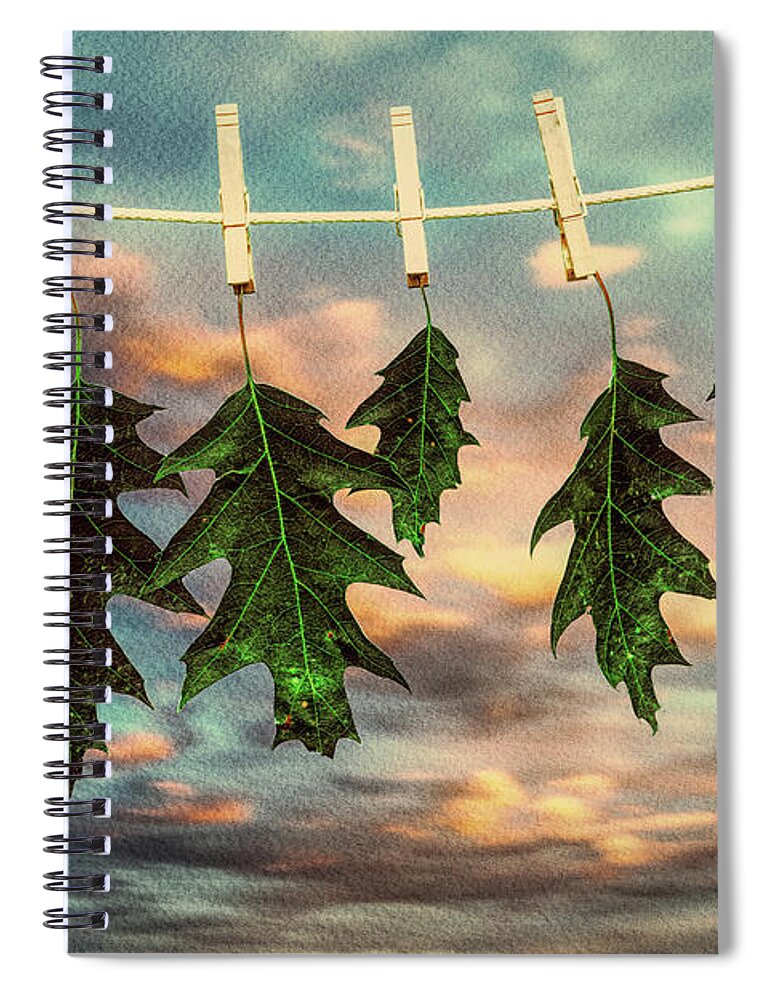 Nature Spiral Notebook featuring the photograph Wash Day by Bob Orsillo