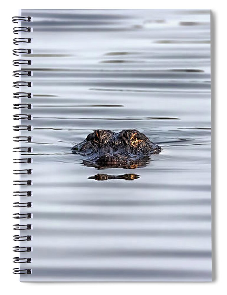 Alligator Spiral Notebook featuring the photograph Watching You by Susan Rissi Tregoning
