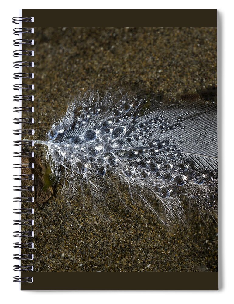 Beaches Spiral Notebook featuring the photograph Water Beads by Robert Potts