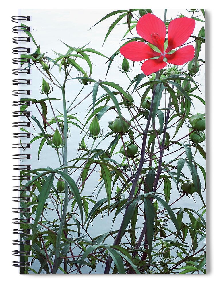 Flower Spiral Notebook featuring the photograph Water Color by Deborah Crew-Johnson