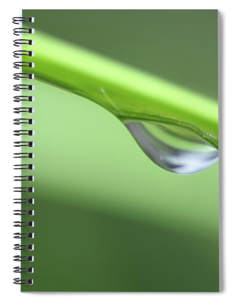 Macro Photography Spiral Notebook featuring the photograph Water Droplet II by Richard Rizzo