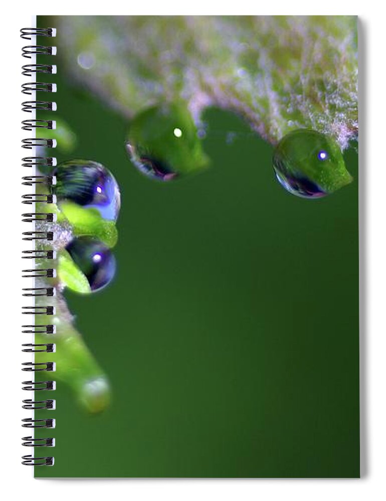 Macro Photography Spiral Notebook featuring the photograph Water Droplet III by Richard Rizzo