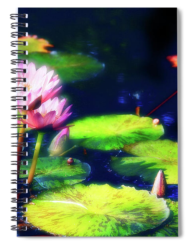 Water Lily Spiral Notebook featuring the photograph Water Lilies by Harry Spitz