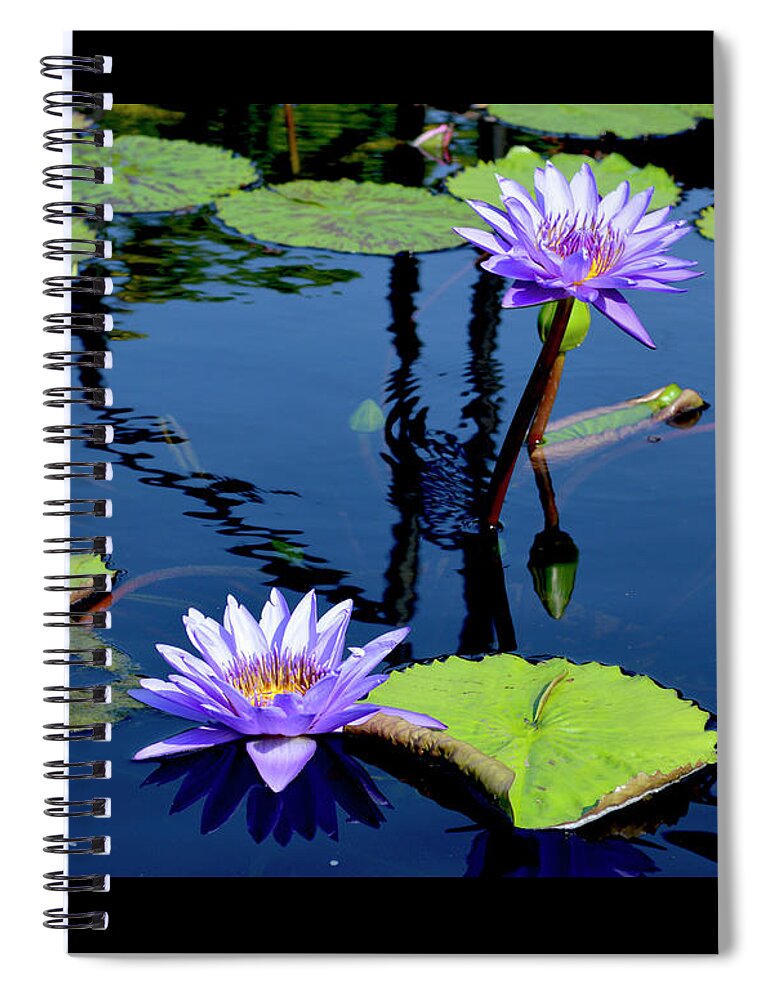 Water Lily Spiral Notebook featuring the photograph Water Lily by Lisa Blake