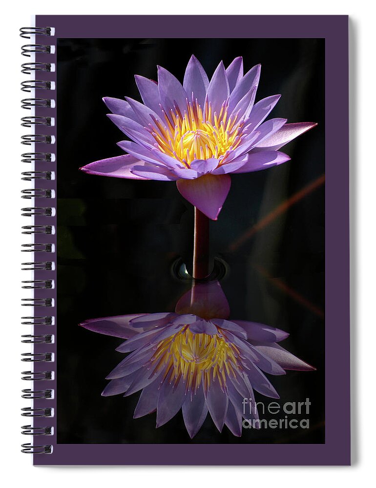 Waterlily Spiral Notebook featuring the photograph Water Lily - Purple Passion by Gunther Allen