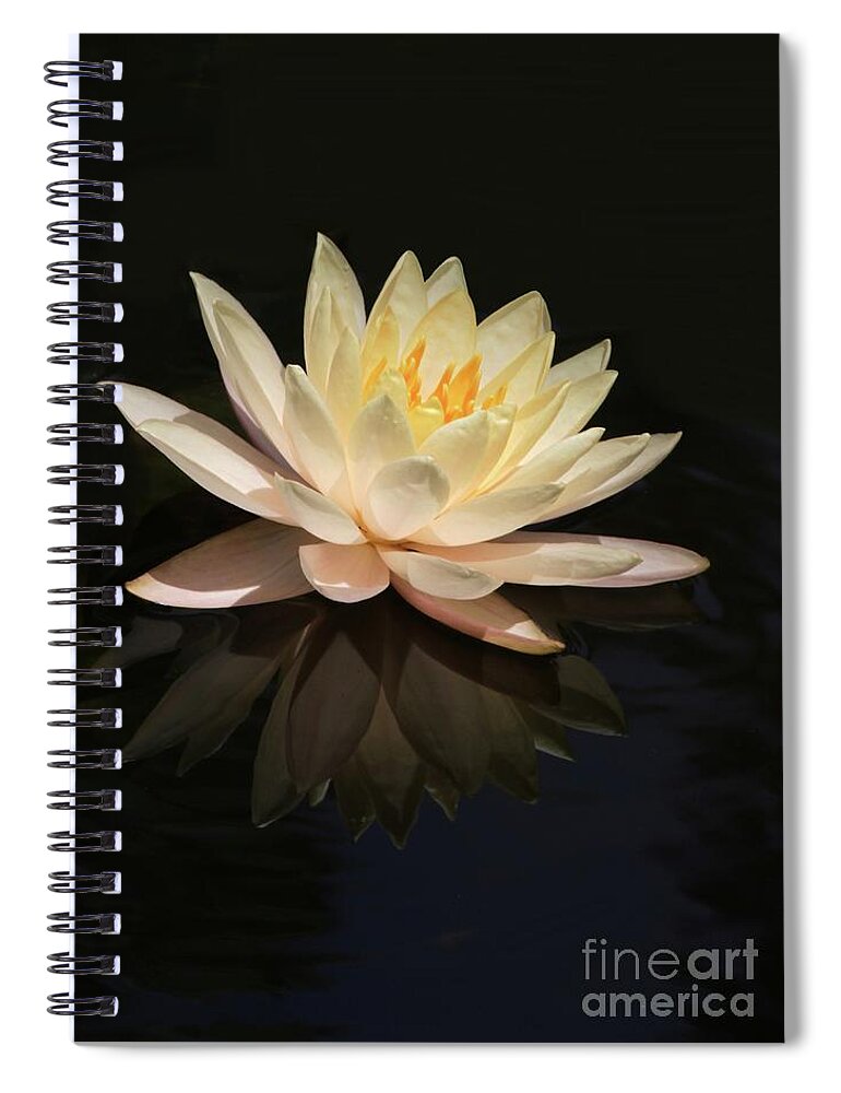 Water Lily Spiral Notebook featuring the photograph Water Lily Reflected by Sabrina L Ryan