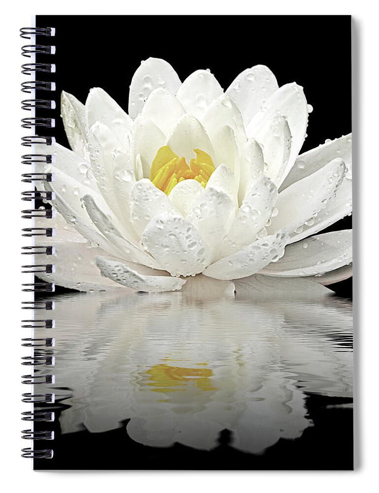 White Waterlily Spiral Notebook featuring the photograph Water Lily Reflections on Black by Gill Billington