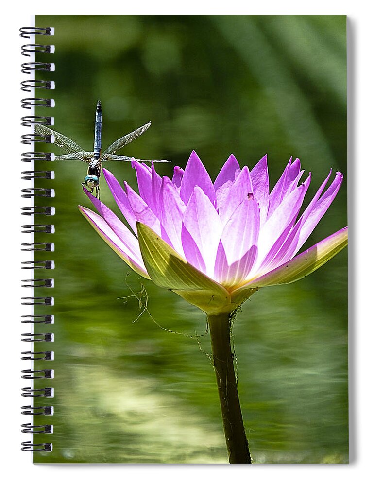 Water Lily Spiral Notebook featuring the photograph Water Lily with Dragon Fly by Bill Barber