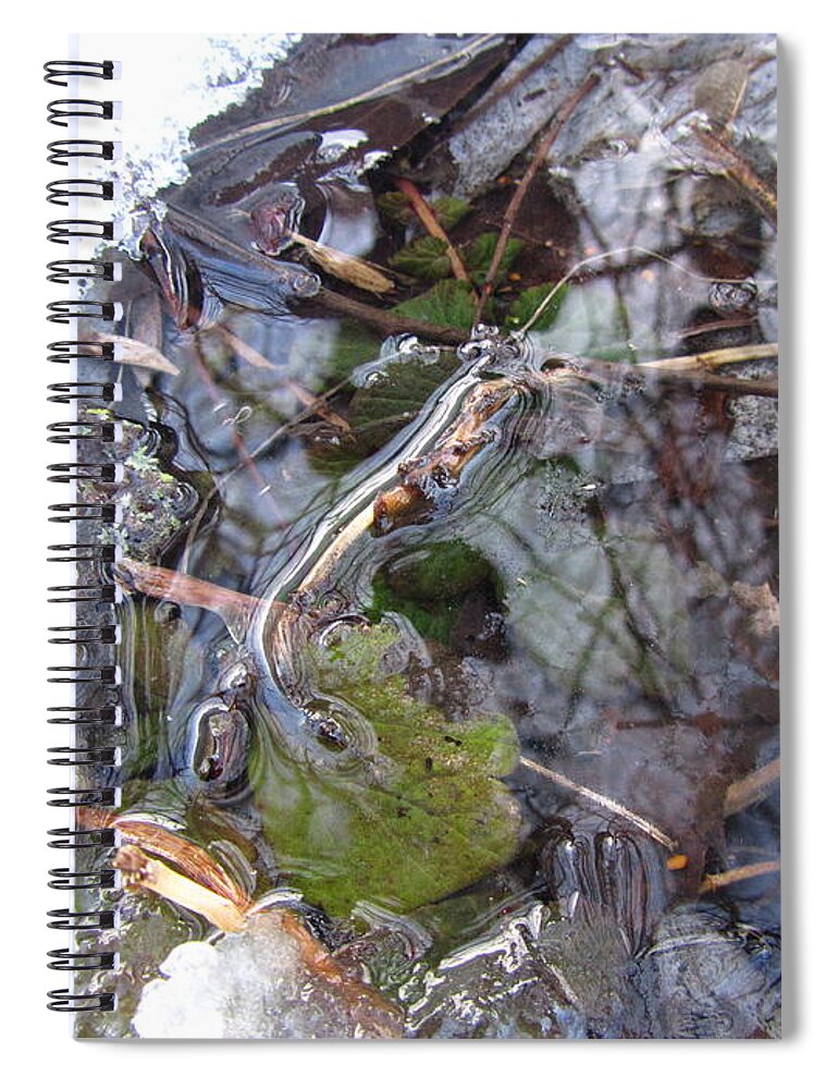 Water Spiral Notebook featuring the photograph Water by Mariel Mcmeeking