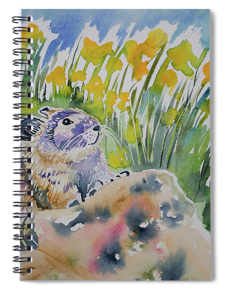 Pika Spiral Notebook featuring the painting Watercolor - Curious Pika by Cascade Colors