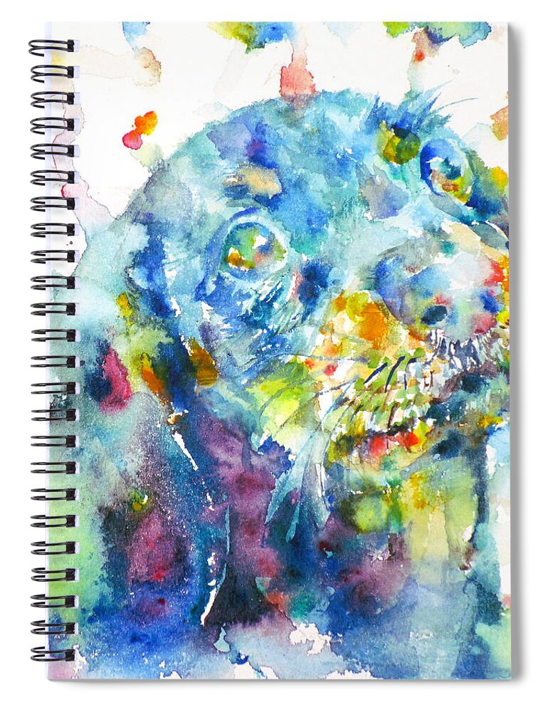 Dachshund Spiral Notebook featuring the painting Watercolor Dachshund by Fabrizio Cassetta