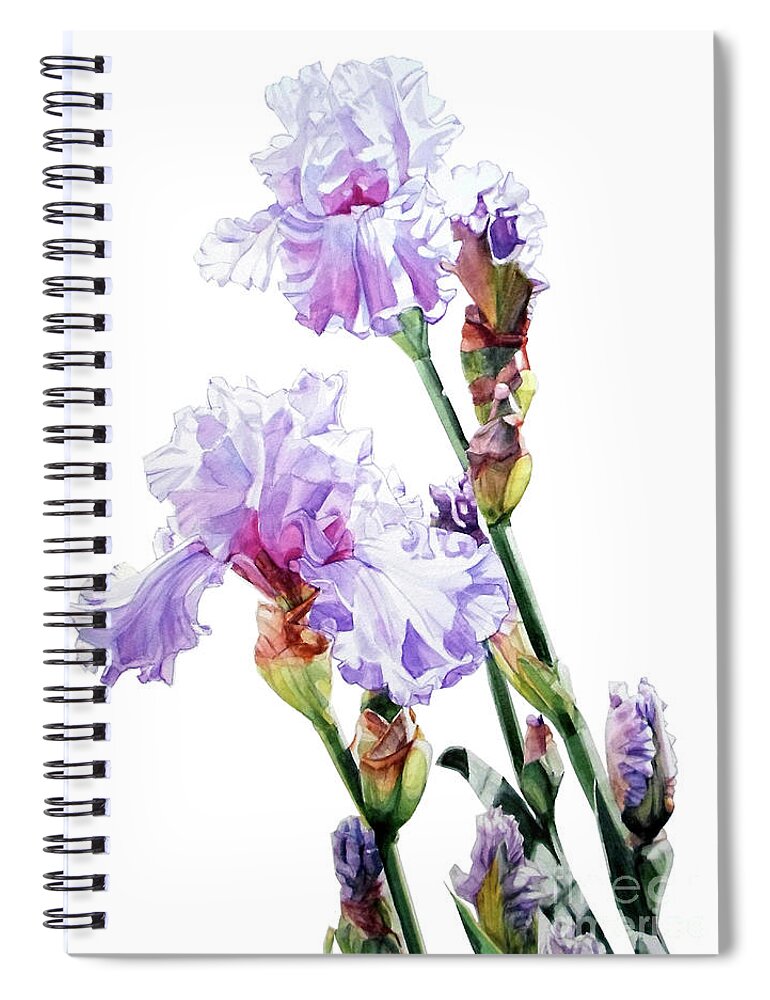 Watercolor Spiral Notebook featuring the painting Watercolor of a Tall Bearded Iris I call Lilac Iris Wendi by Greta Corens