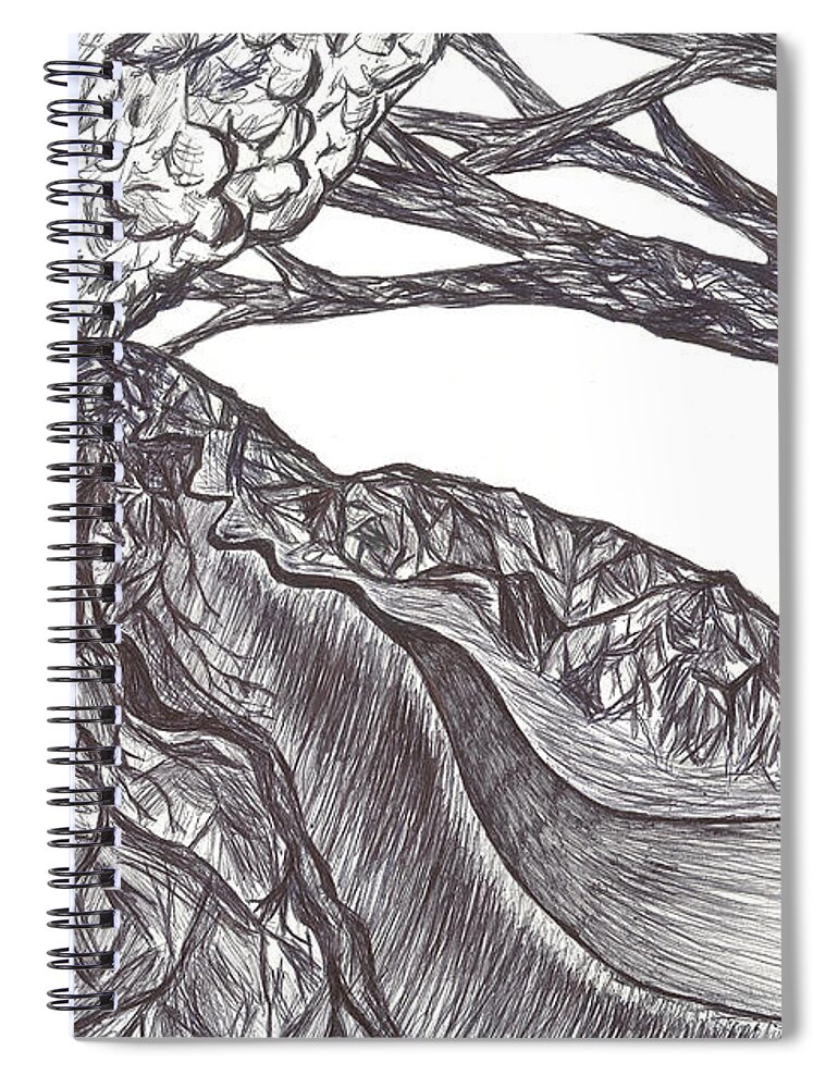 Volcano Spiral Notebook featuring the drawing Watershed by Curtis Sikes