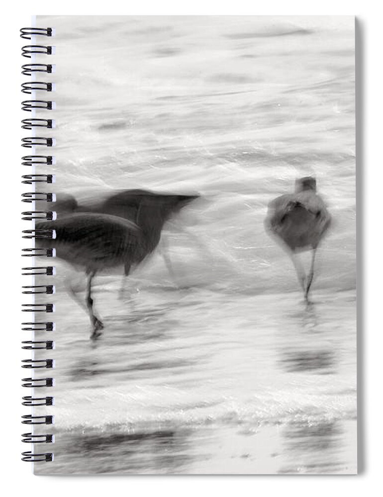 Blue Spiral Notebook featuring the photograph Plundering Plover Series in Black and White 2 by Angela Rath