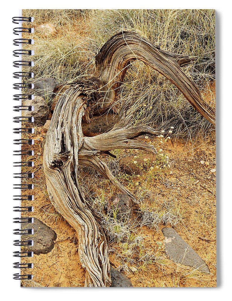 Wildflower Spiral Notebook featuring the photograph Weather Tree and Wildflowers by Peter J Sucy