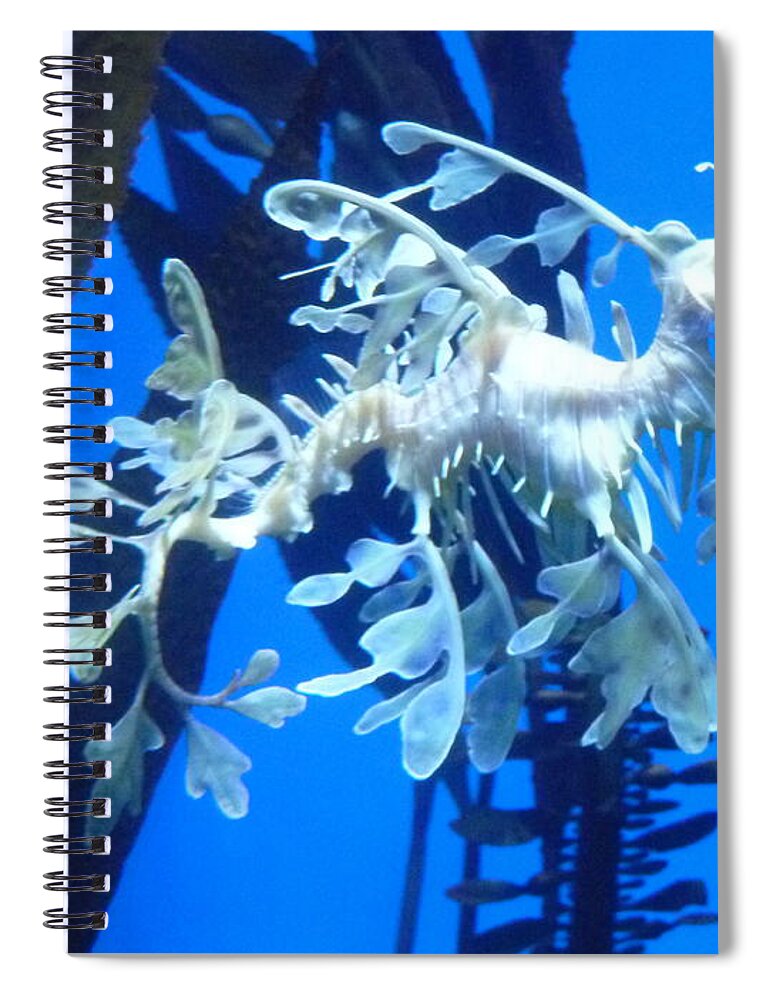 Weedy Seadragon Spiral Notebook featuring the photograph Weedy Seadragon by Lingfai Leung
