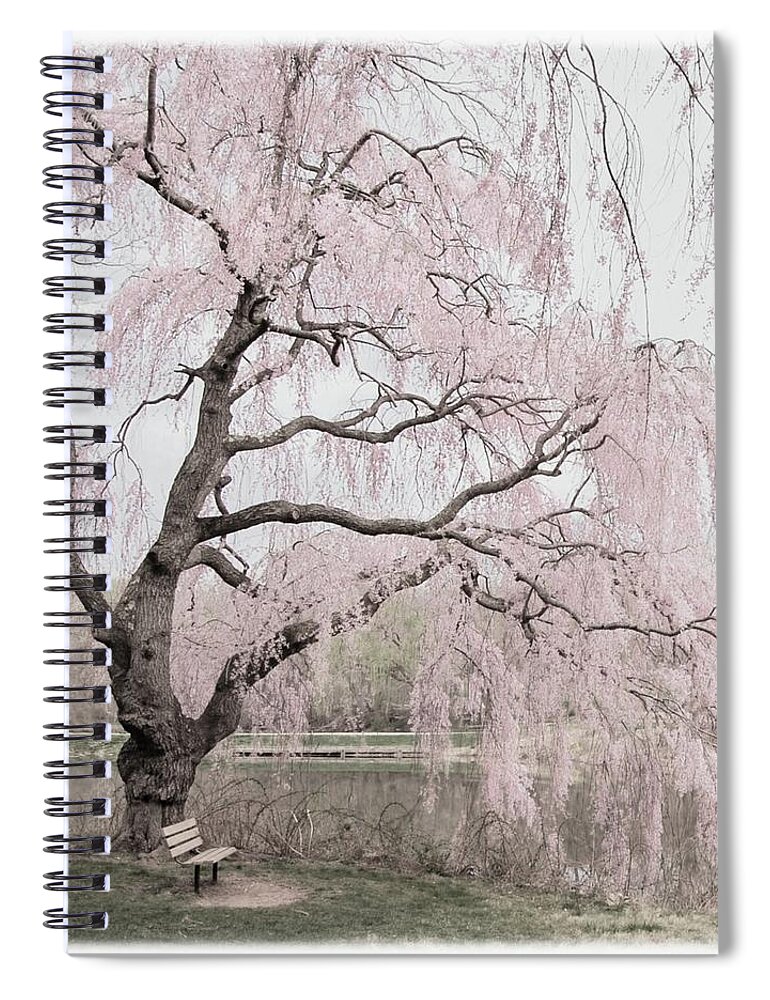 Cherry Blossom Trees Spiral Notebook featuring the photograph Weeping Spring 2 - Holmdel Park by Angie Tirado
