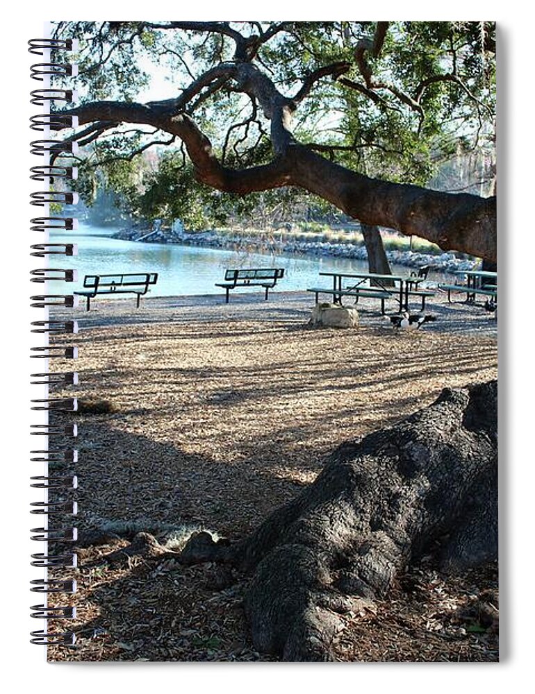 Lake Ella Spiral Notebook featuring the photograph Welcome to Lake Ella by Carol Groenen