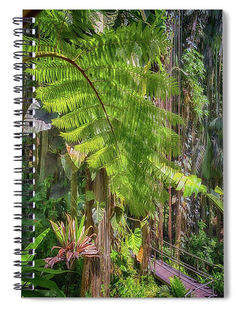 Hawaii Tropical Botanical Garden Spiral Notebook featuring the photograph Welcome to the Jungle 2 by Susan Rissi Tregoning