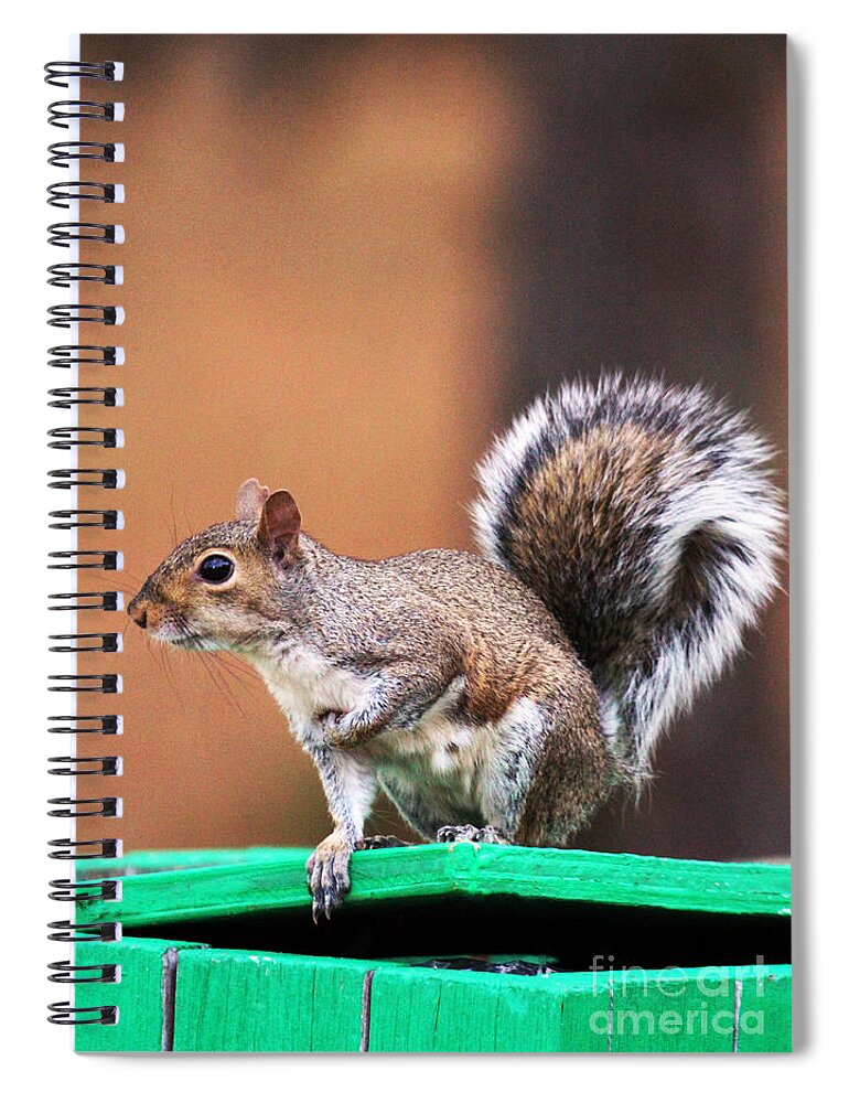 Squirrel Spiral Notebook featuring the photograph Well Fed by Jennifer Robin