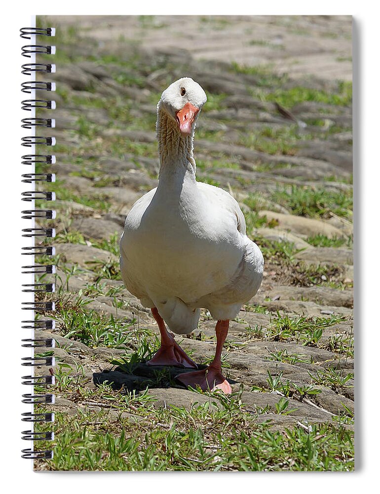 Goose Spiral Notebook featuring the photograph Well Hello by Holden The Moment