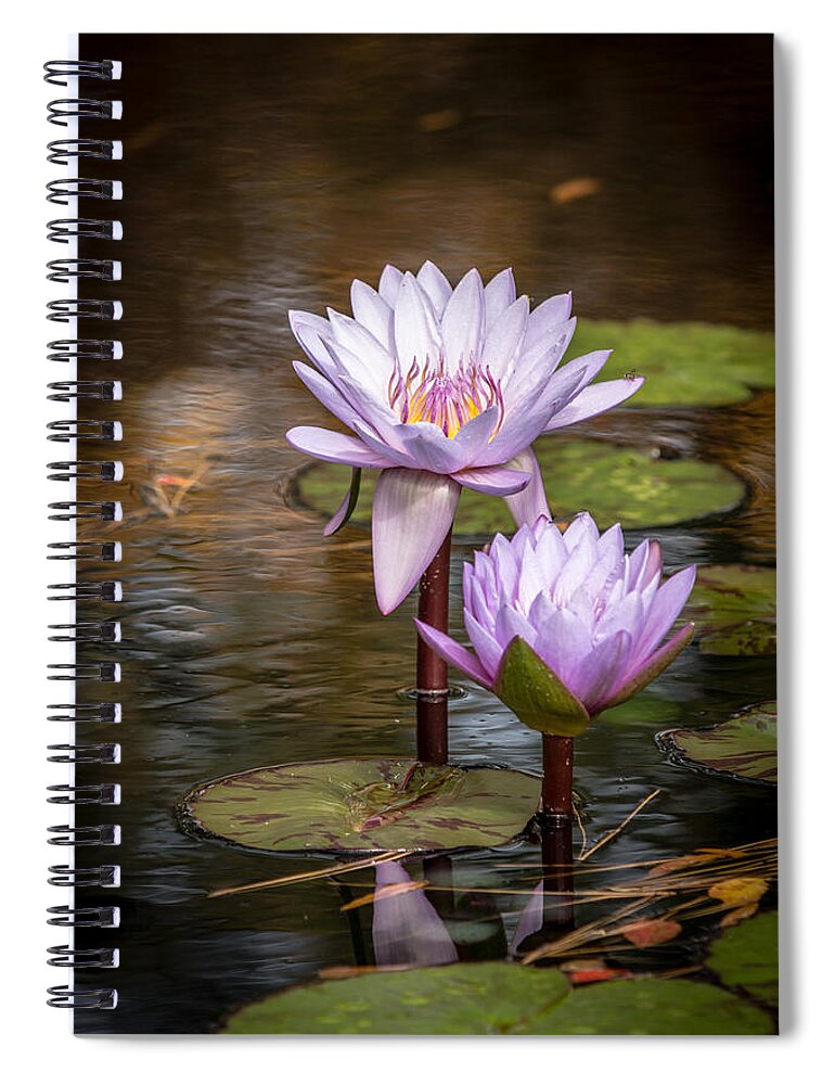 2015 Spiral Notebook featuring the photograph We'll make it last forever by Wade Brooks