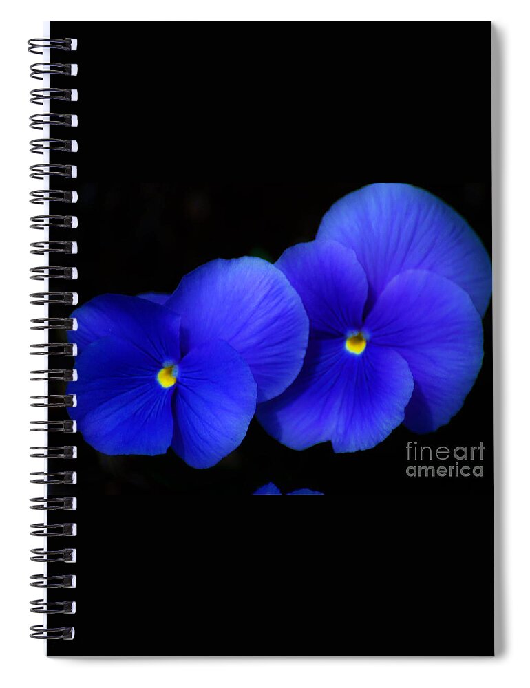 Flowers Spiral Notebook featuring the photograph West Virginia flower 1 by Merle Grenz
