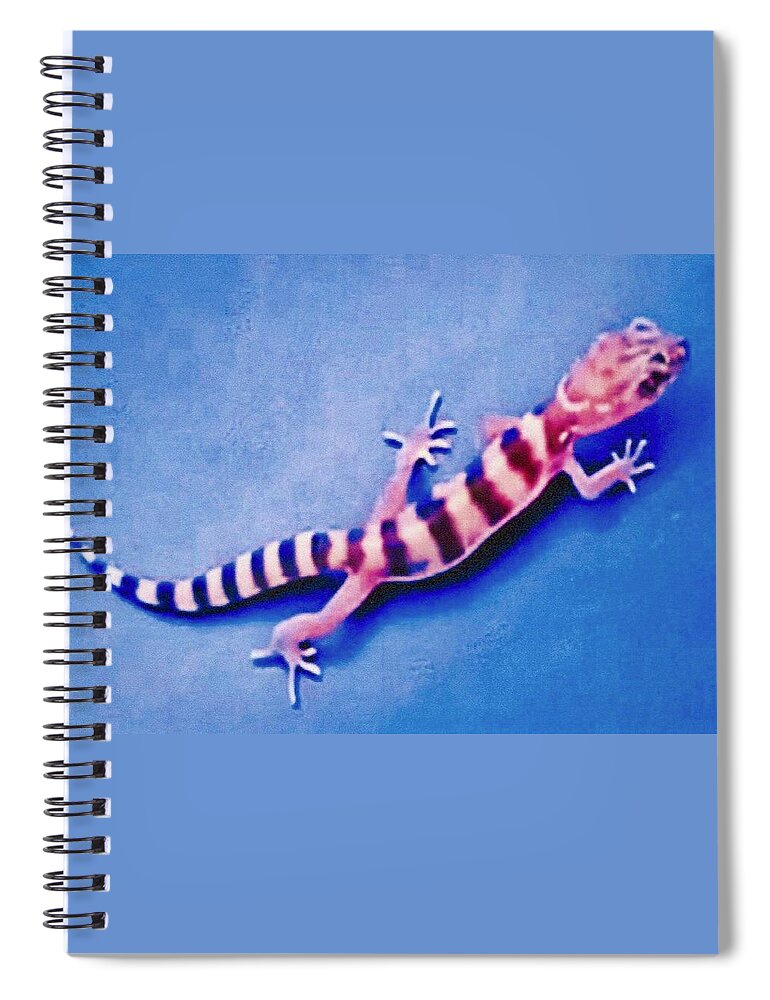 Arizona Spiral Notebook featuring the photograph Western Banded Gecko by Judy Kennedy