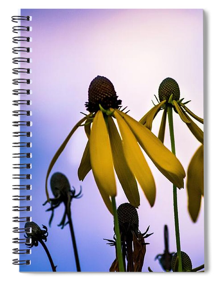  Spiral Notebook featuring the photograph What Remains by Terri Hart-Ellis