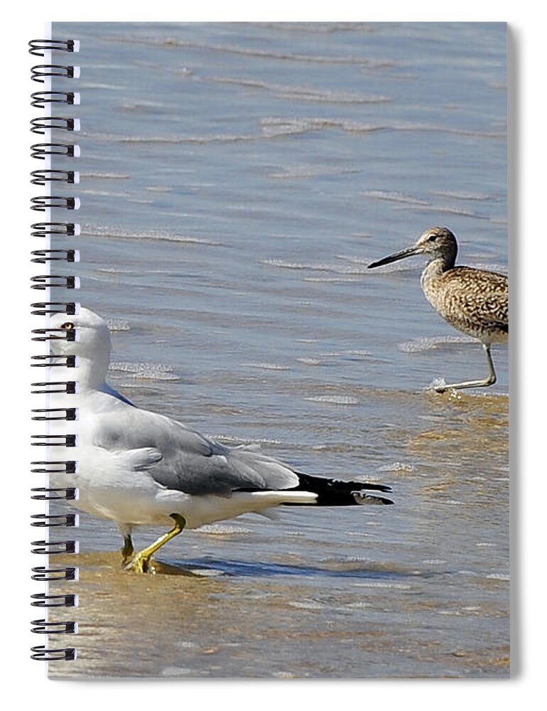 Birds Spiral Notebook featuring the photograph Outer Banks OBX #10 by Buddy Morrison