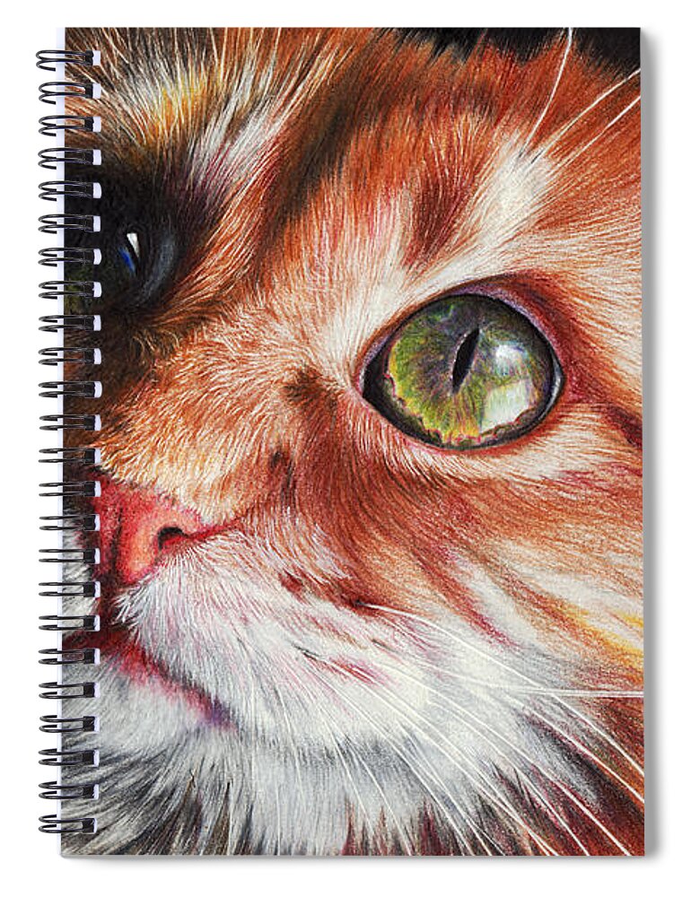 Cat Spiral Notebook featuring the drawing Butter Wouldn't Melt by Peter Williams