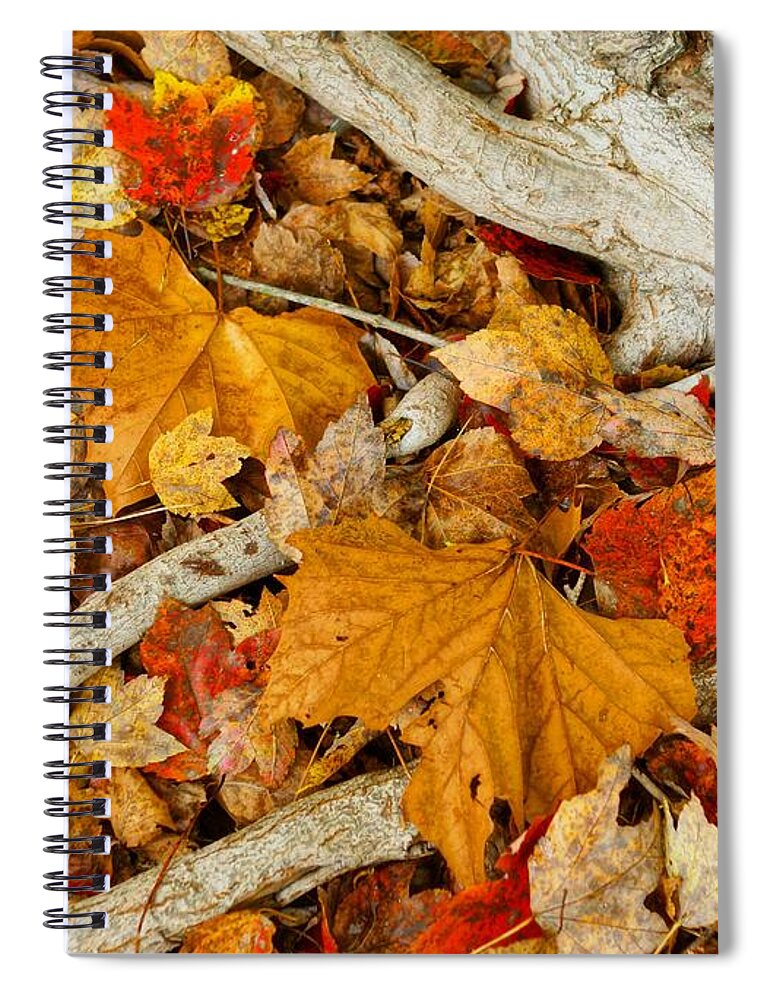  Spiral Notebook featuring the photograph When November Comes 8 by Rodney Lee Williams
