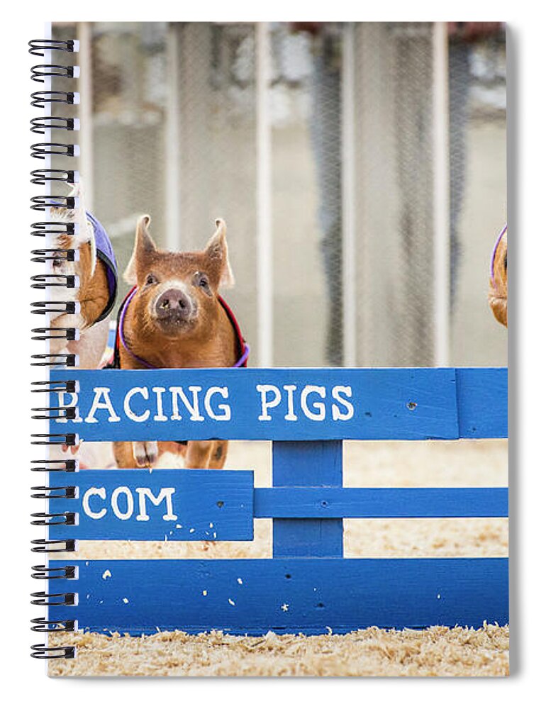 Pig Spiral Notebook featuring the photograph When Pigs Fly by Alex Lapidus