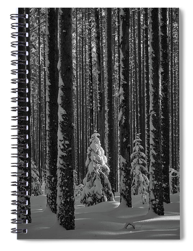 Finland Spiral Notebook featuring the photograph When the light falls bw by Jouko Lehto