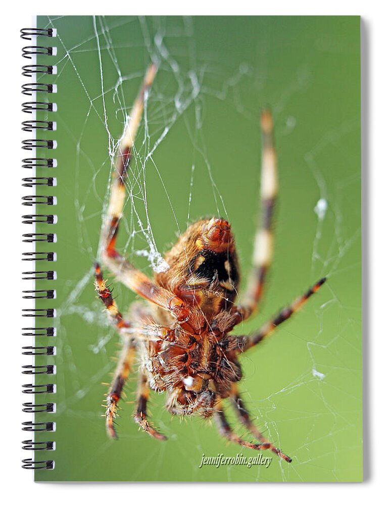 Insects Spiral Notebook featuring the photograph Where Webs Come From by Jennifer Robin