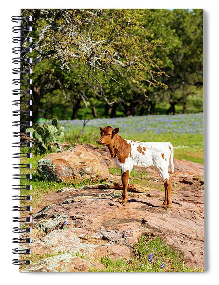 African Breed Spiral Notebook featuring the photograph Where's My Mother? by Raul Rodriguez