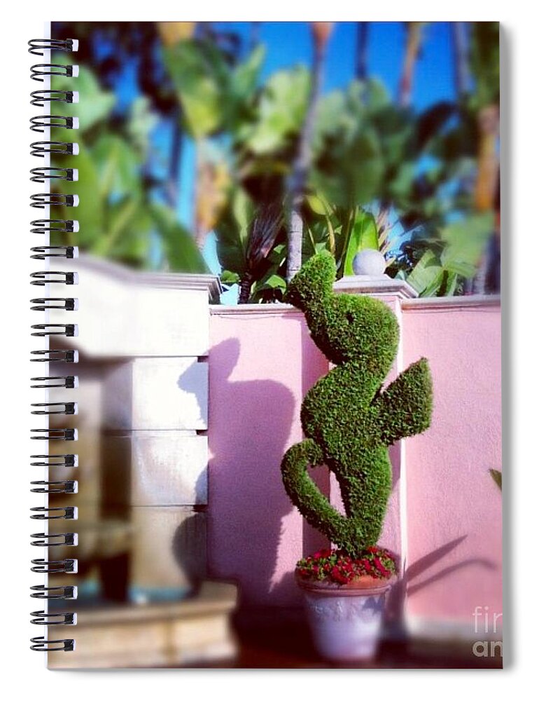 Seahorse Spiral Notebook featuring the photograph Whimsy by Denise Railey