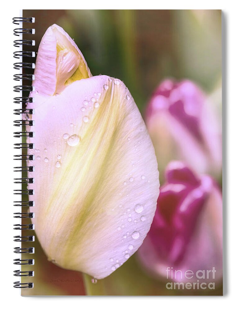 Blush Spiral Notebook featuring the digital art Whispering Tulips by Jean OKeeffe Macro Abundance Art
