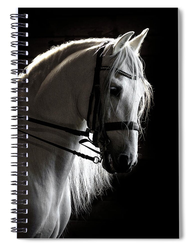 White Beauty In The Night Spiral Notebook featuring the photograph White Beauty In The Night by Wes and Dotty Weber