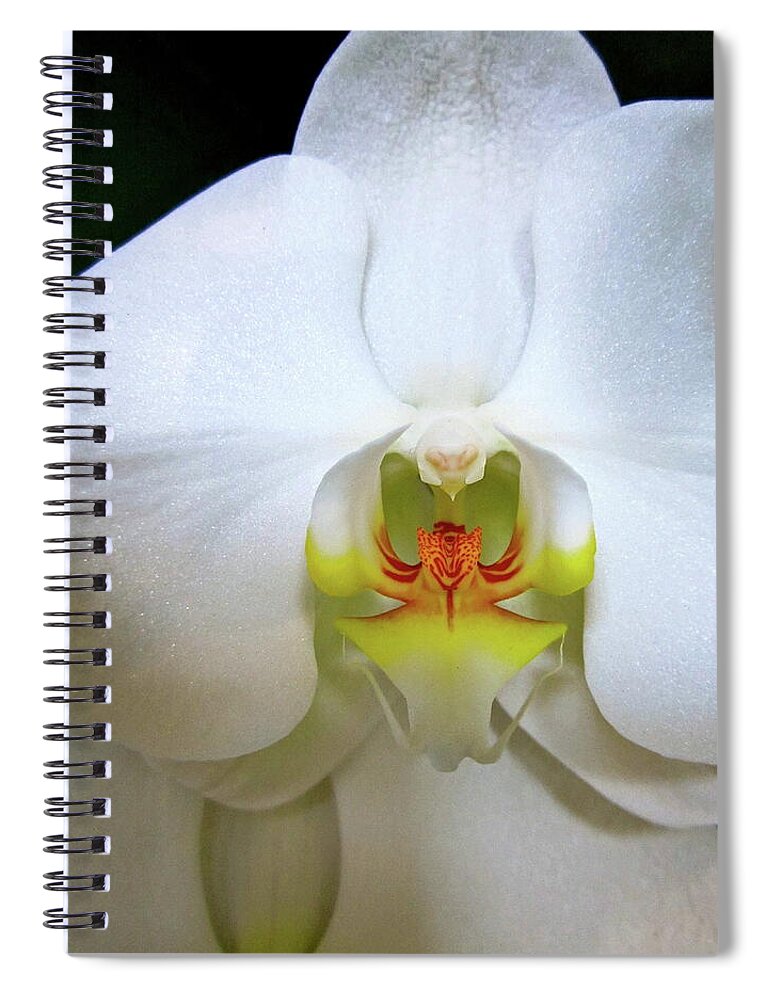 Hawaii Spiral Notebook featuring the photograph White Beauty by Lehua Pekelo-Stearns